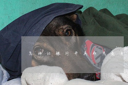 怎样让银行开具非恶意逾期证明 怎样让银行开具非恶意逾期证明