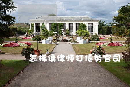 怎样请律师打债务官司 怎样请律师打债务官司