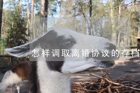怎样调取离婚协议的存档 怎样调取离婚协议的存档