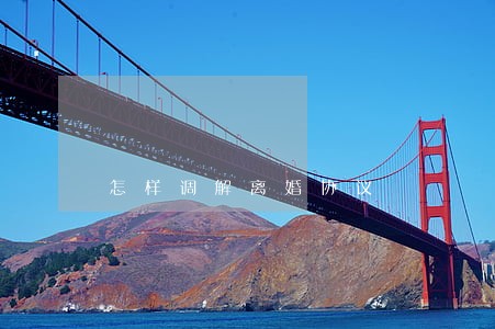 怎样调解离婚协议