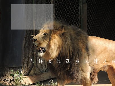 怎样贯彻落实法律法规的实施 怎样贯彻落实法律法规的实施