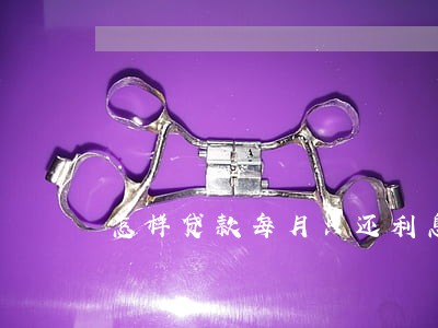 怎样贷款每月只还利息不还本金 怎样贷款每月只还利息不还本金