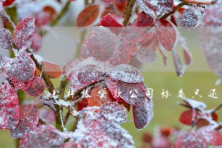 怎样跟贷款公司协商只还本金 怎样跟贷款公司协商只还本金