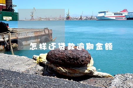 怎样还贷款逾期金额 怎样还贷款逾期金额