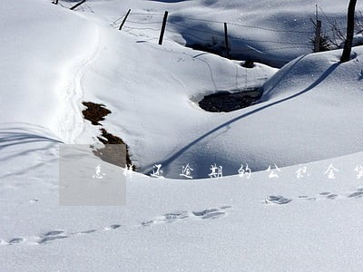怎样还逾期的公积金贷款 怎样还逾期的公积金贷款