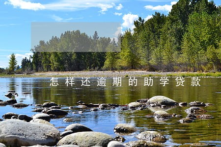 怎样还逾期的助学贷款 怎样还逾期的助学贷款