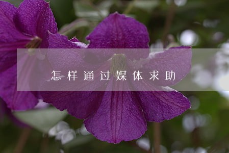 怎样通过媒体求助 怎样通过媒体求助