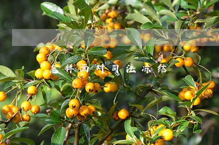 怎样面对司法冻结 怎样面对司法冻结