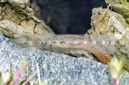 怒江债务纠纷律师免费咨询 怒江债务纠纷律师免费咨询