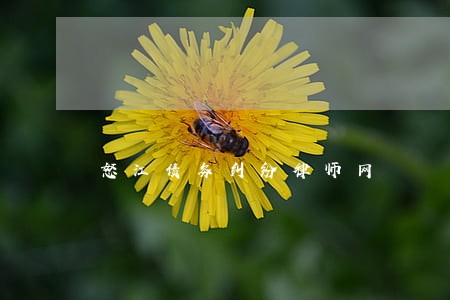 怒江债务纠纷律师网 怒江债务纠纷律师网