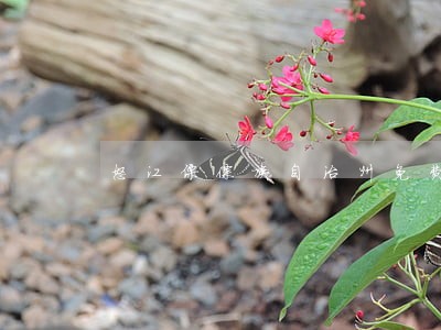 怒江傈僳族自治州免费法律问题 怒江傈僳族自治州免费法律问题