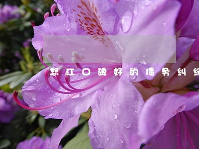 怒江口碑好的债务纠纷律师 怒江口碑好的债务纠纷律师