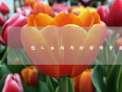 怒江合同纠纷律师费用 怒江合同纠纷律师费用