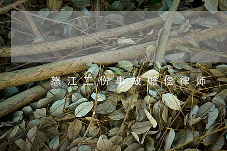 怒江工伤事故赔偿律师 怒江工伤事故赔偿律师