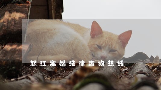怒江离婚法律咨询热线 怒江离婚法律咨询热线
