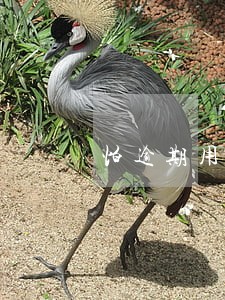 怕逾期用还还信用卡 怕逾期用还还信用卡