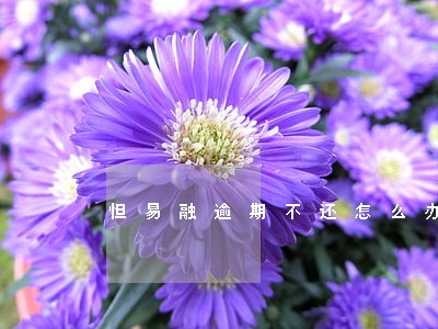 怛易融逾期不还怎么办 怛易融逾期不还怎么办