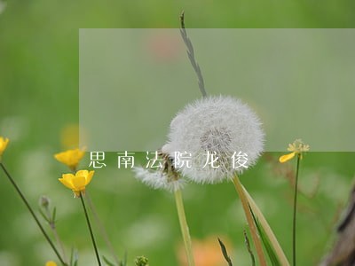 思南法院龙俊 思南法院龙俊