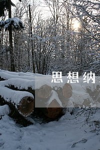 思想纳入宪法的时间 思想纳入宪法的时间