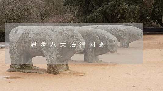 思考八大法律问题 思考八大法律问题