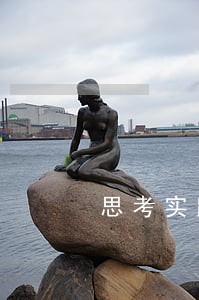 思考实践法律关系