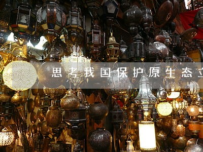 思考我国保护原生态立法与执法