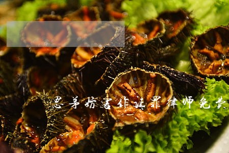 思茅妨害作证罪律师免费在线咨询 思茅妨害作证罪律师免费在线咨询