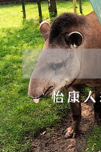 怡康人寿信用卡逾期多久上征信 怡康人寿信用卡逾期多久上征信