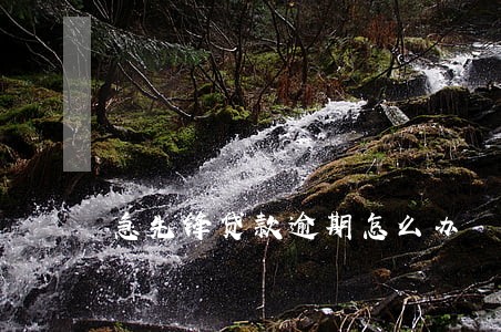 急先锋贷款逾期怎么办 急先锋贷款逾期怎么办