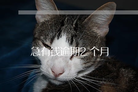 急有钱逾期2个月 急有钱逾期2个月