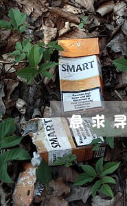 急求寻问律师 急求寻问律师