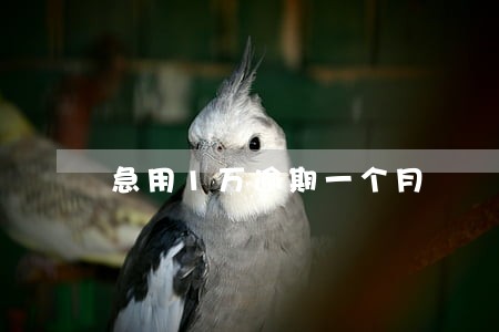 急用1万逾期一个月 急用1万逾期一个月