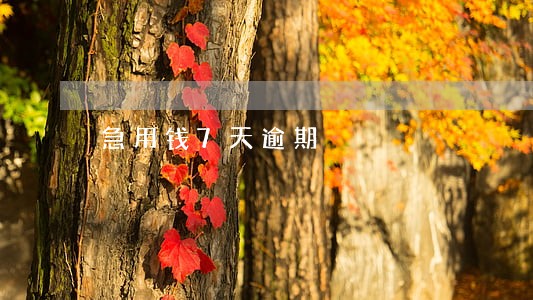 急用钱7天逾期 急用钱7天逾期