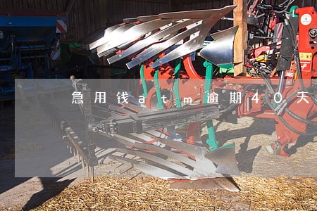 急用钱atm逾期40天