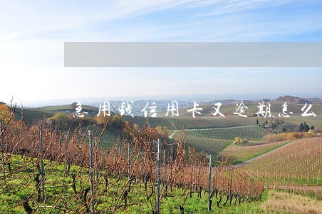 急用钱信用卡又逾期怎么办