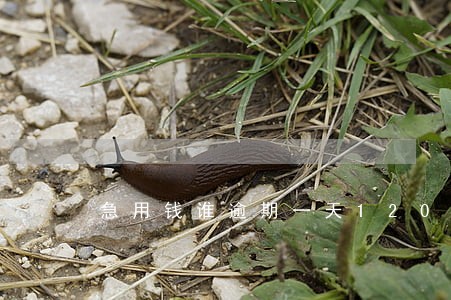 急用钱谁逾期一天120 急用钱谁逾期一天120