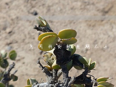 急用钱贷款逾期不还 急用钱贷款逾期不还
