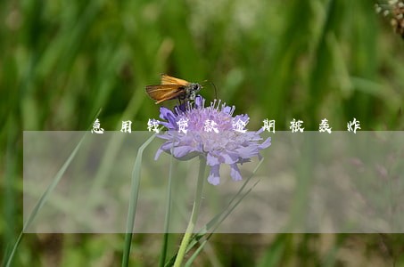 急用钱贷款逾期被轰炸