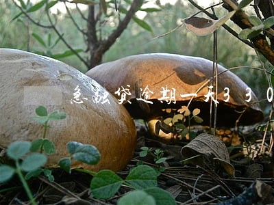 急融贷逾期一天330怎么办 急融贷逾期一天330怎么办