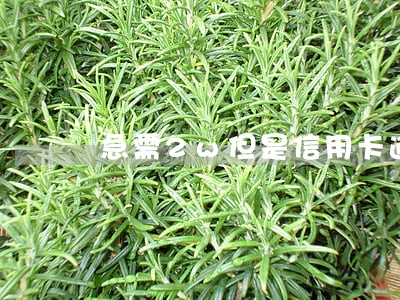 急需2w但是信用卡逾期 急需2w但是信用卡逾期