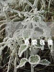 急需钱信用又逾期怎么办 急需钱信用又逾期怎么办