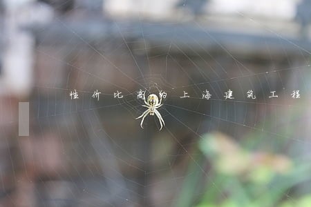 性价比高的上海建筑工程律师 性价比高的上海建筑工程律师