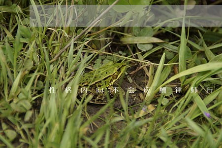 性格内向不会应酬律师行业 性格内向不会应酬律师行业