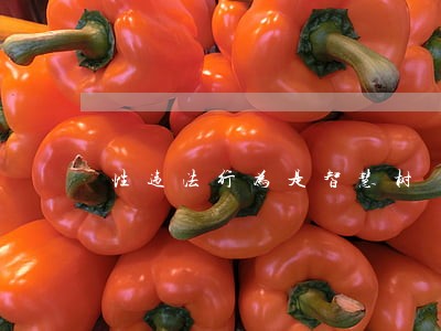 性违法行为是智慧树 性违法行为是智慧树