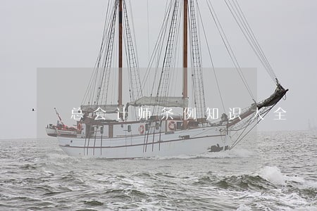 总会计师条例知识大全 总会计师条例知识大全