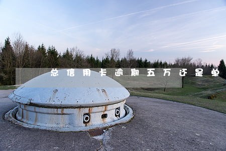 总信用卡逾期五万还是单张 总信用卡逾期五万还是单张