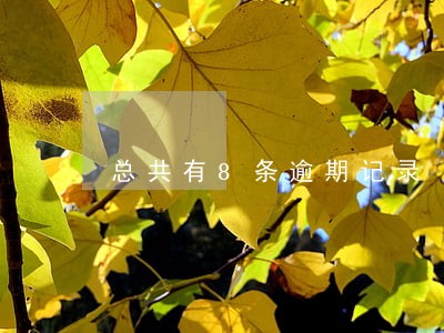 总共有8条逾期记录