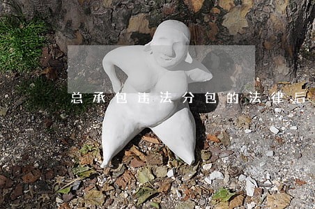 总承包违法分包的法律后果 总承包违法分包的法律后果