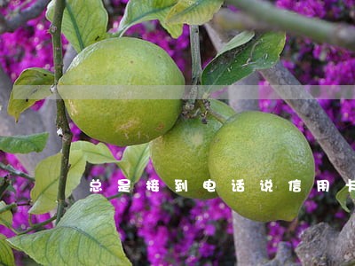 总是接到电话说信用卡逾期 总是接到电话说信用卡逾期
