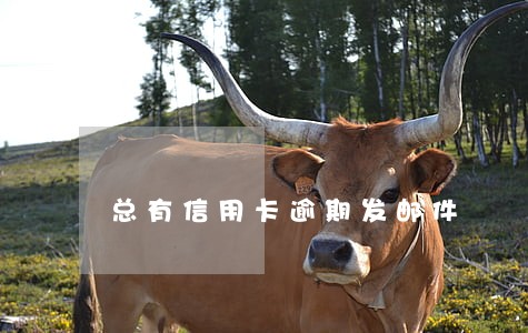 总有信用卡逾期发邮件 总有信用卡逾期发邮件